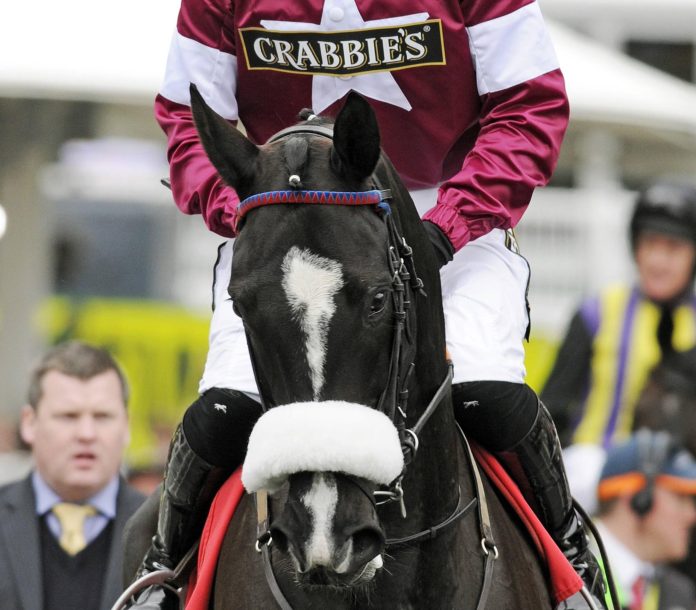 don_cossack