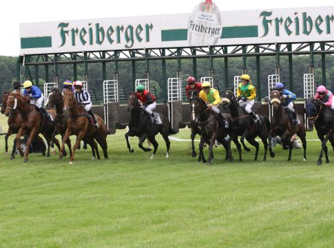Dresdener Sommerenntag am Sonntag - "Ganz in weiss" ist das Motto dresden_1