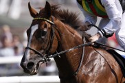 durbanthunder