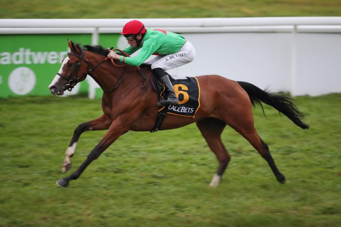 Dynamite Star (Archiv) Dynamite Star (Archiv)