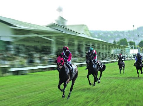 Vier Galopprennen in Erbach - Russian Sochi vor günstiger Aufgabe Vier Galopprennen in Erbach - Russian Sochi vor günstiger Aufgabe