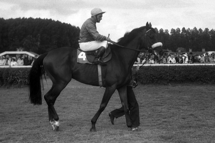 esclavo_beim_aufgalopp_zum_derby_1979