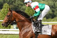 estejo_aufgalopp_2008_mr