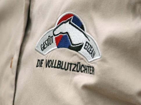 Etzeaner BBAG-Pinhook bringt stolze 110.000 Guineas in Newmarket