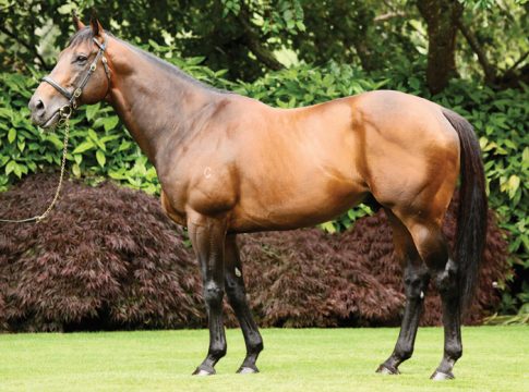 Deckhengst Fastnet Rock im Alter von 24 Jahren abgetreten fastnet_rock