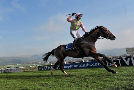 faugheen_ruby