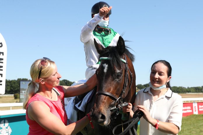 Fearless King (Archiv)