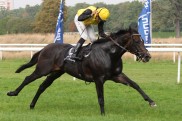 ffm200909107