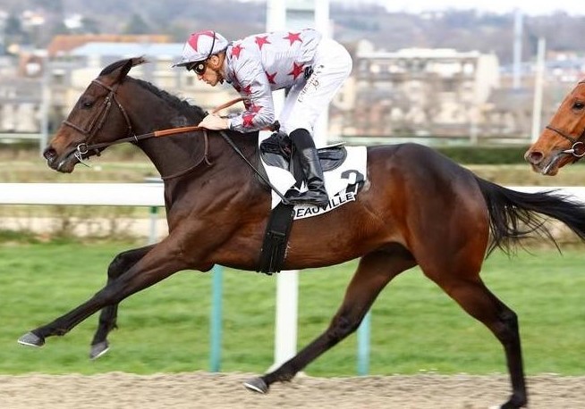 Frohsim (Quelle: france-galop.com) Frohsim (Quelle: france-galop.com)