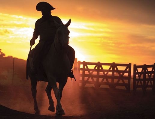 gaucho-argentino