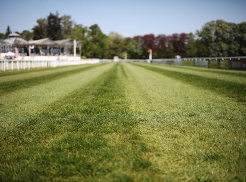 Kölner Saisonauftakt: Es sieht nach Boden gut bis weich aus Kölner Saisonauftakt: Es sieht nach Boden gut bis weich aus
