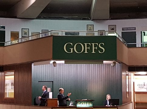 Goffs: Neue Online-Sales-Plattform am Montag gestartet Goffs: Neue Online-Sales-Plattform am Montag gestartet
