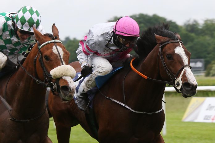 Griffone siegt Griffone siegt