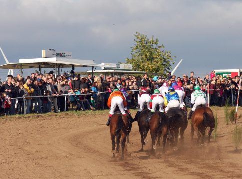 Das sind die Nichtstarter für den 02. Oktober