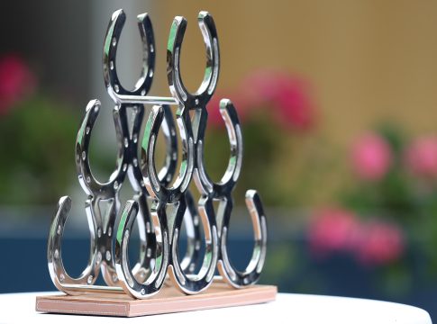 Guten Rutsch und frohes Neues Jahr 2025! hufeisen