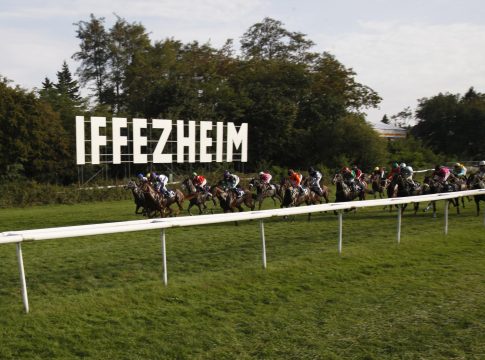 Boden weich in Iffezheim nach 26 Litern Regen iffezheim_emblem