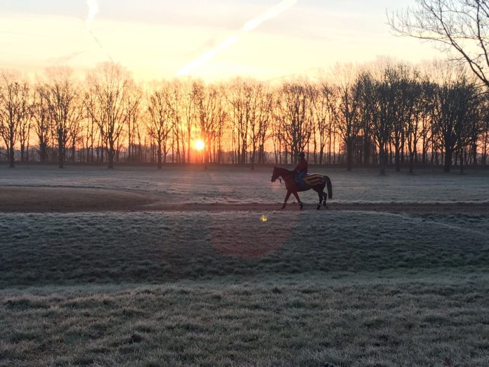 impression_morgengrauen