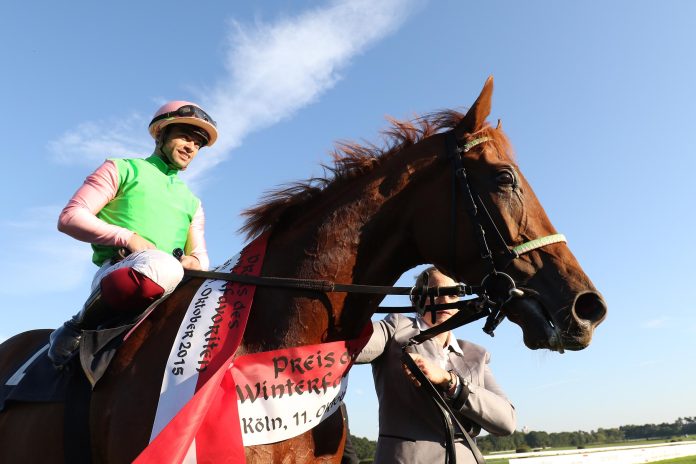 Isfahan nach dem Sieg im Preis des Winterfavorit Isfahan nach dem Sieg im Preis des Winterfavorit
