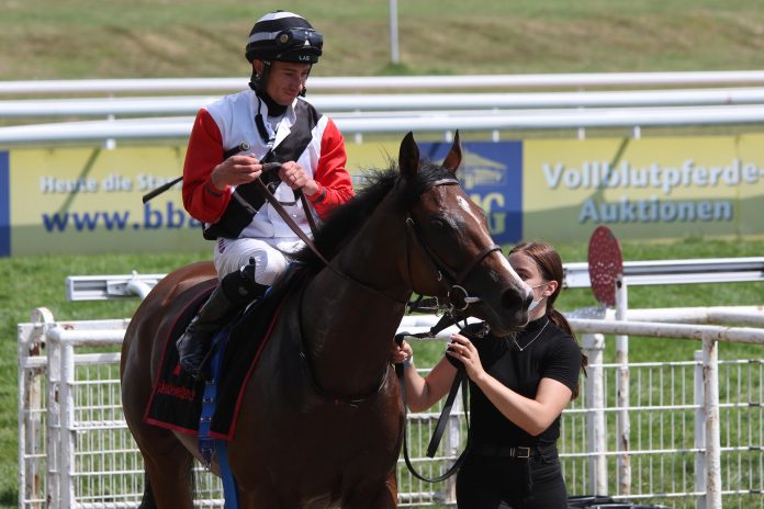 Lovely Dream Lovely Dream