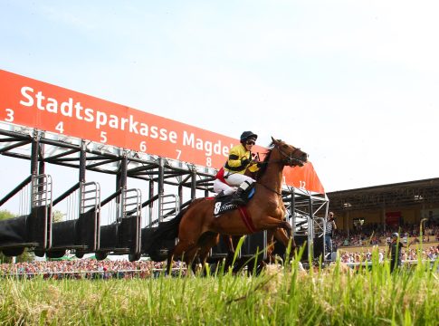 Magdeburg: Schnelles Wiedersehen mit Marmara Star? magdeburg_10