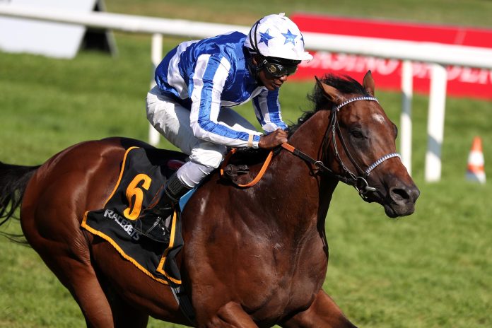 Majestic Colt (Archiv) Majestic Colt (Archiv)