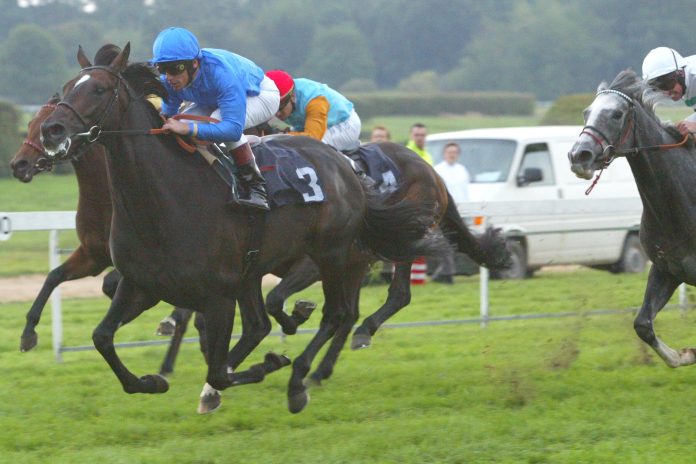 Mamool gewinnt den Preis von Europa 2003 Mamool gewinnt den Preis von Europa 2003