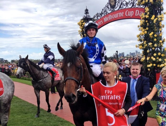 Melbourne Cup-Sieger Protectionist Melbourne Cup-Sieger Protectionist