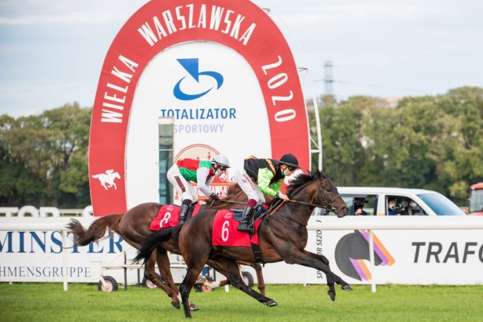 Nagano Gold siegt (Foto: Służewiec Racecourse) Nagano Gold siegt (Foto: Służewiec Racecourse)