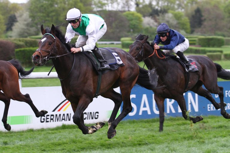 Stall Salzburgs Night Wish Starter im Preis von Europa