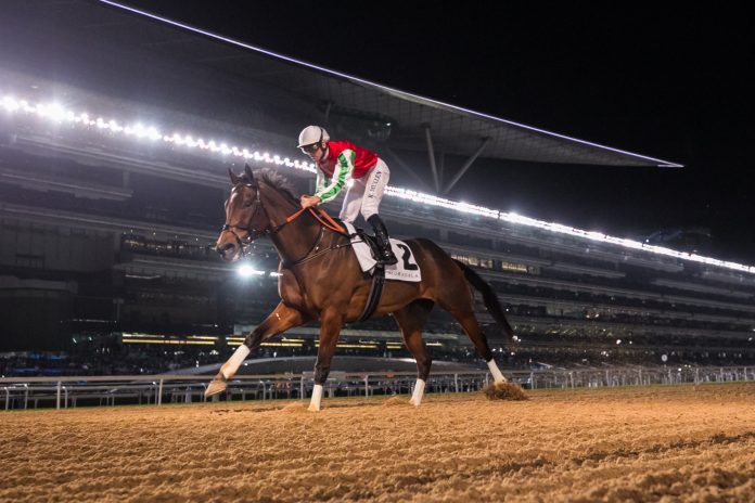 north_america_dubai_racing_club