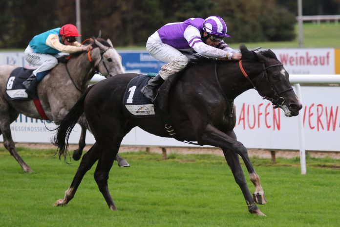 Ocean Fantasy Ocean Fantasy