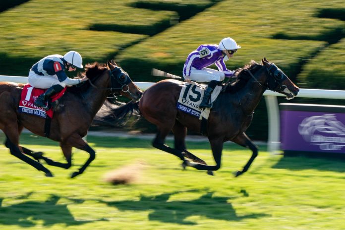 Order of Australia Order of Australia