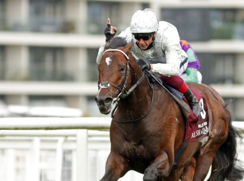 Erster Stakes-Sieger für Palace Pier Palace Pier (Archiv/Racingfotos.com)