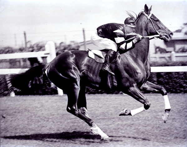 phar_lap