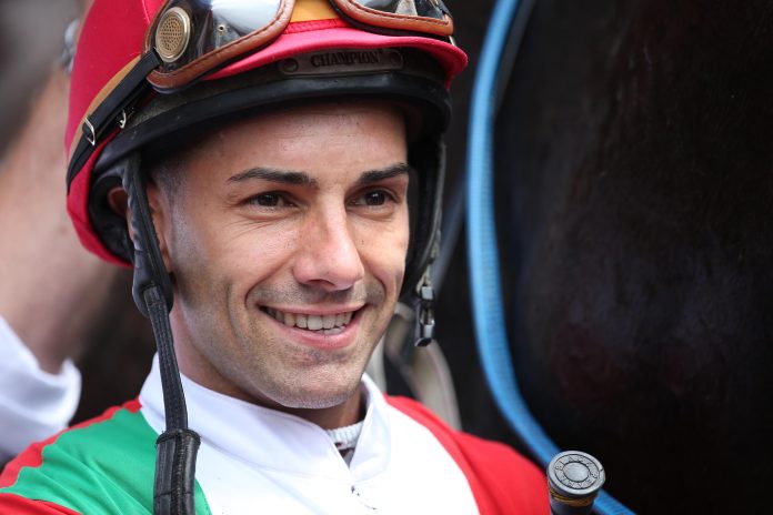 Nicol Polli Nicol Polli