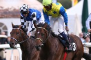 Fünf deutsche Pferde für den Melbourne Cup genannt