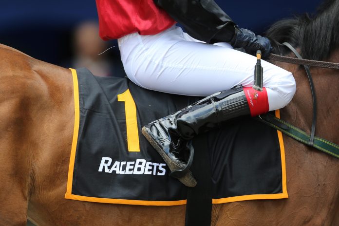racebets_-_foto_satteldecke