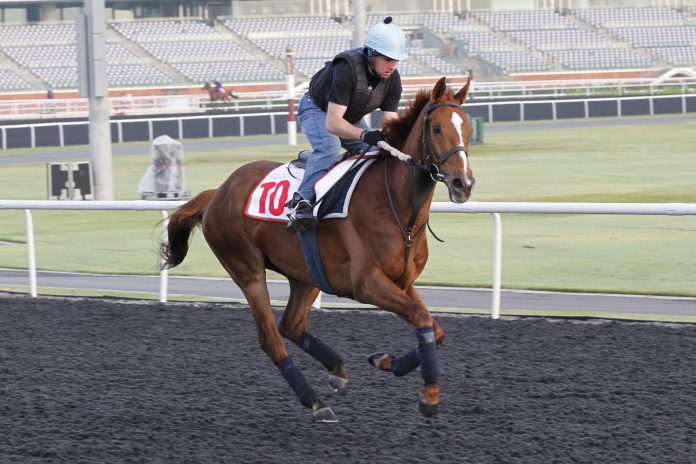 red_cadeaux