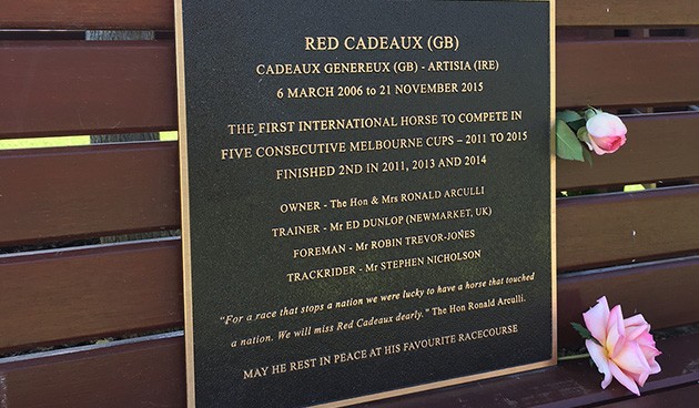 red_cadeaux.jpg_grab