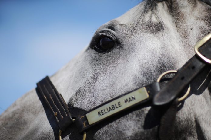 Reliable Man Reliable Man