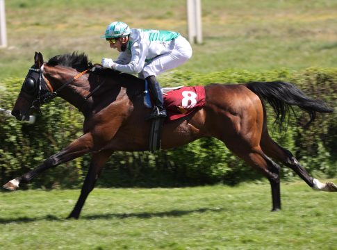 Rip Van Lips deckt ab 2025 bei Ralf Paulick rip_van_lips_1