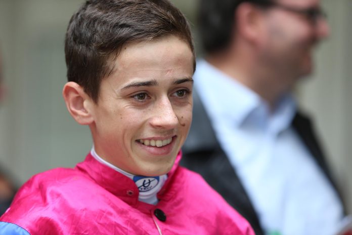 Robin Haedens Robin Haedens