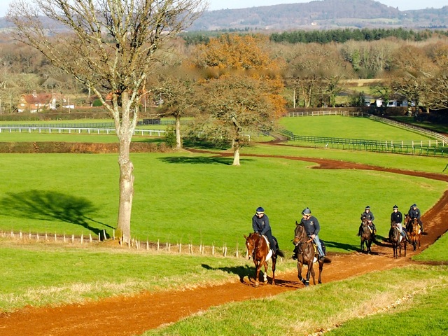 robins_farm
