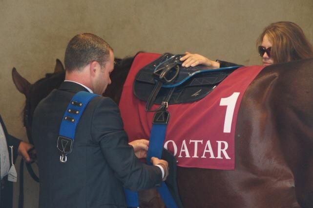 Mirek Rulec Mirek Rulec