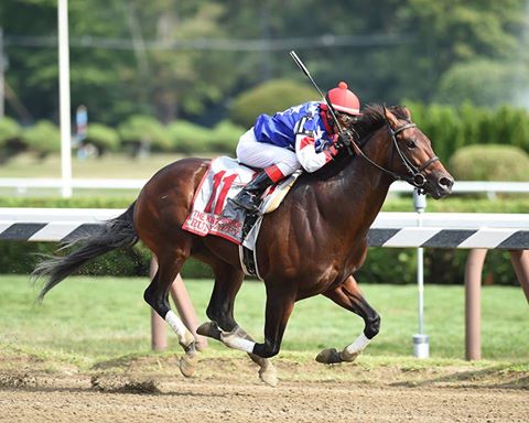 runhappy