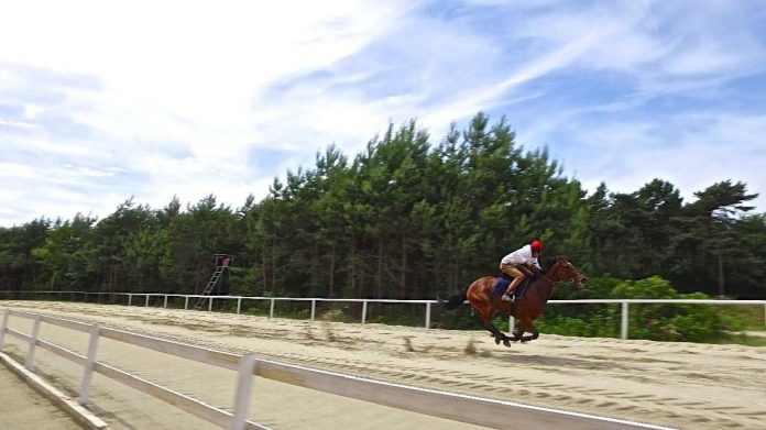 s10_rapido_training_privat