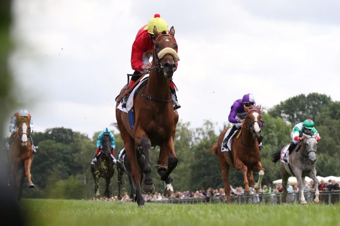 Millionaire Millionaire gilt als Favorit