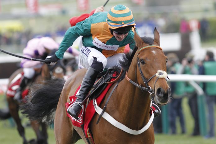s24_cole_harden_turfstock