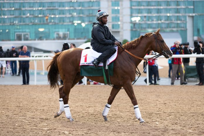 s2_california_chrome_duvai_racing_club