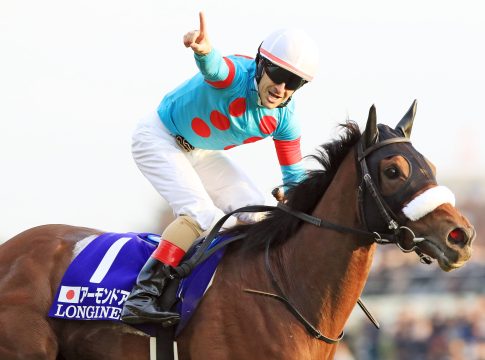 Almond Eye-Sohn legt beim ersten Start die Maidenschaft ab Almond Eye Foto: Sorge